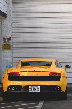 modernambition:  Gallardo | WF 