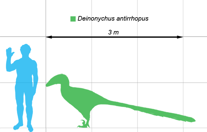 The Climbing, Flying Babies of Deinonychus - Scientific American Blog  Network