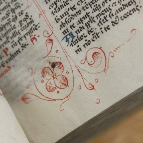 muspeccoll:#ManuscriptMonday: The penwork in this fifteenth-century ferial psalter is wonderful!I lo