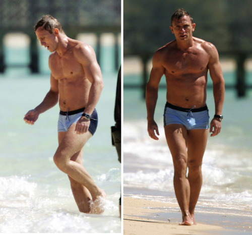 XXX famousmaleexposed:  Daniel Craig big bulge!Follow photo