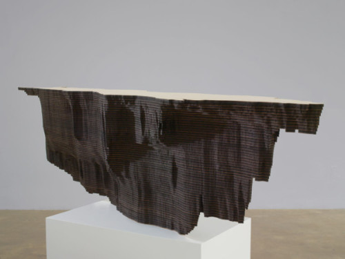 Maya Lin - Bodies of Water Series; 2006; laser-cut plywood In these 2006 sculptures, Maya Lin captur