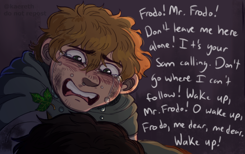 More LotR for kofi - Sam’s grief in the aftermath of Shelob’s attack :’‘) These lines literally crus