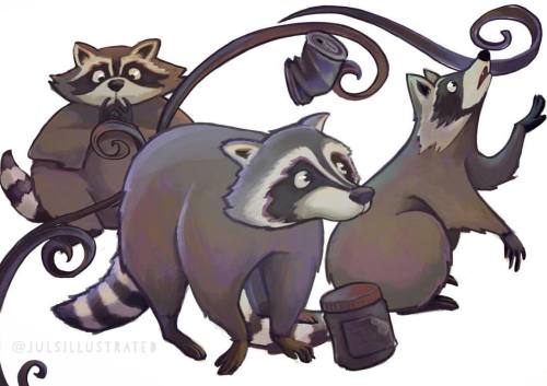 Same guys keep stealing shit ✨ #raccoon #illustration #design #artwork #digitaldrawing #society6 #sk