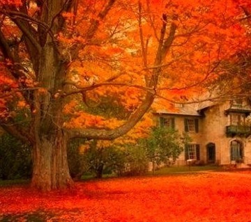 Norman Rockwell Museum, Stockbridge, Massachusetts