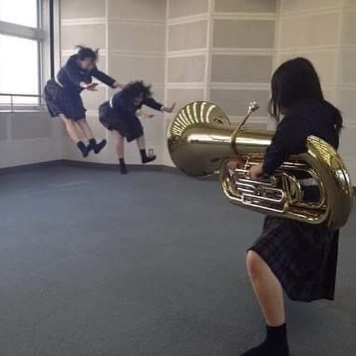 Tumblr media