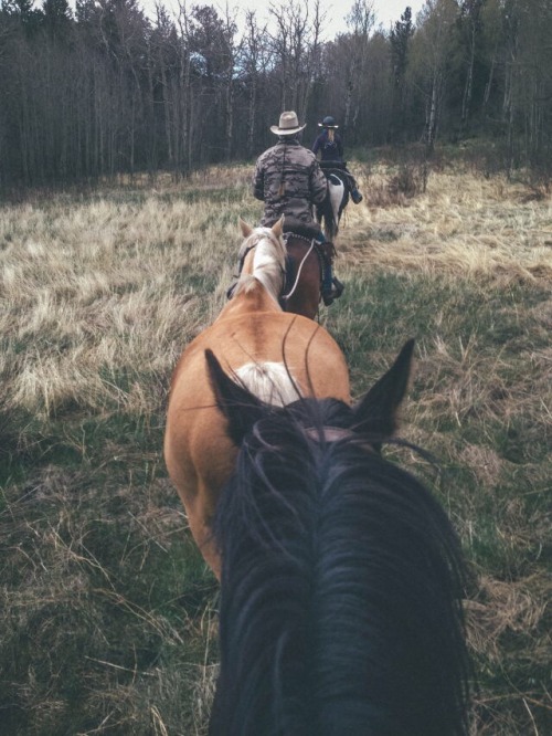 countryff4171: Views of a cowgirl. Never once have gotten over the places that horses have taken me,