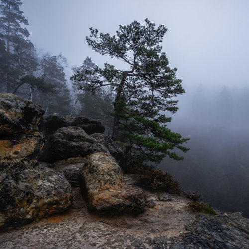 medieval-lady:Sandstone patterns - Sandstein Strukturen by Ralf Kaiser 