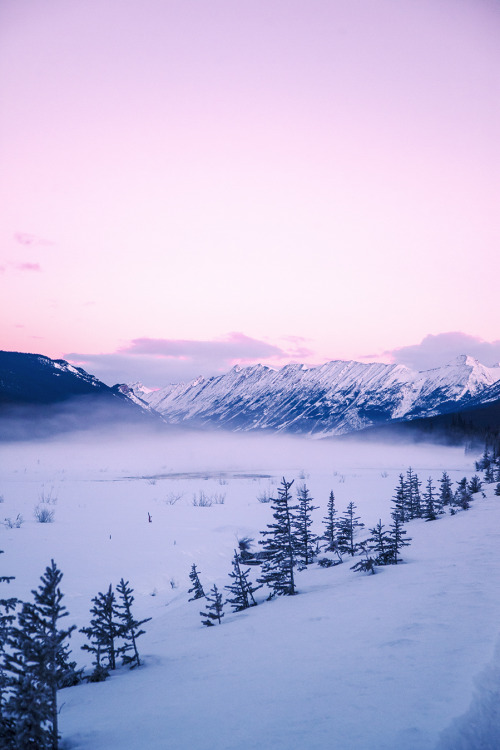 jasper national park