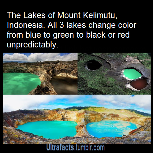 ultrafacts:  More Ultrafacts (Source)