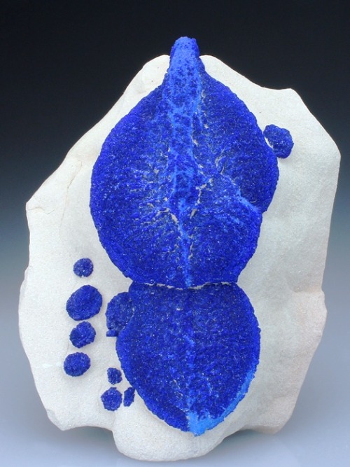 Azurite &ldquo;Lips&rdquo; on Kaolinite, a rare formation from Australia