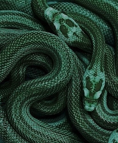 myhogwartsmagic:Slytherin aesthetics!Feel free to send in a request for a moodboard!