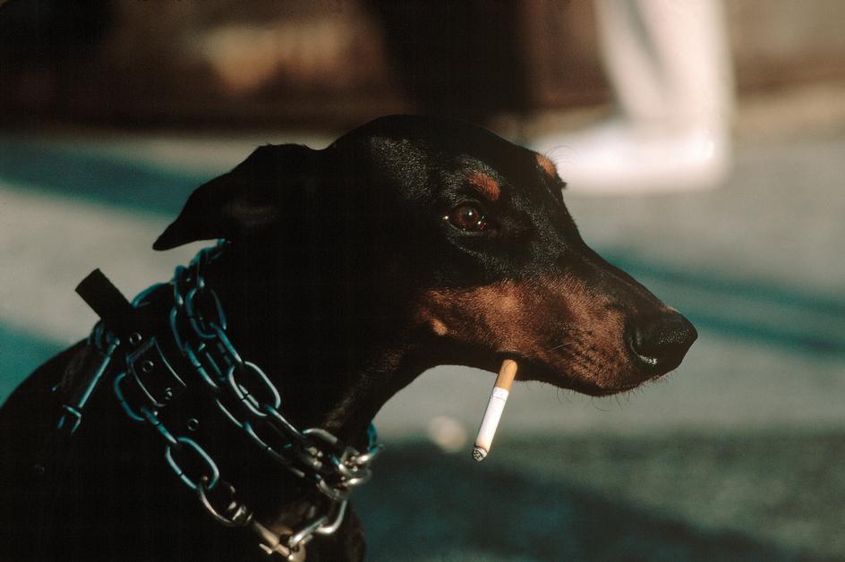 fotojournalismus:New York, 1983. Photos by Thomas Hoepker.(via moarrrmagazine)