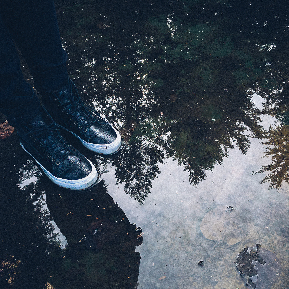 vans:  Puddles were made for jumping in. Make a splash this fall in the Vans Sk8-Hi