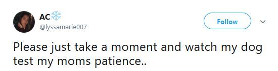sexwitsockson:  niggazinmoscow: He literally was like “ain’t nobody gonna tell