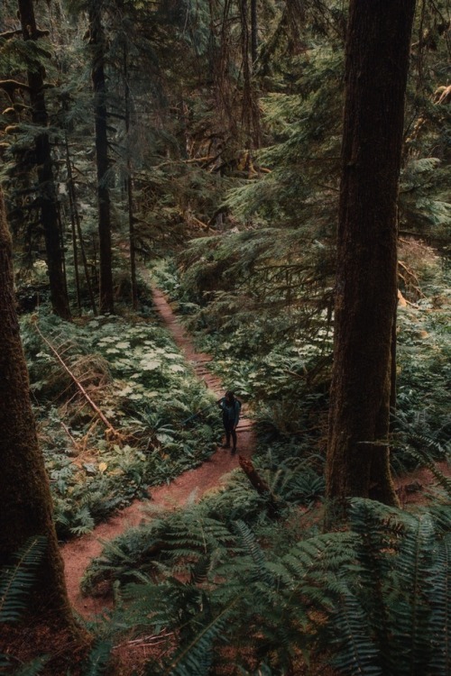 Curvy Hikes in Washington. For more of my work: instagram.com/r4s &amp; ErickRamirezPhotography.