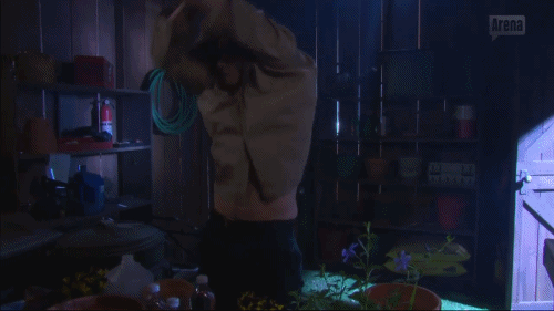 auscap:  Paul Telfer - Days Of Our Lives 