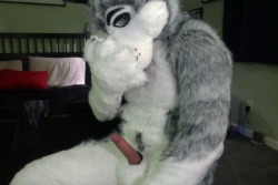 creampie-spotter:  I’d love to help this “wolf” out with his nice large predicament pupsleeves: via duke317:   What an adorable little Wolfe~ X3  Fucking Hot 