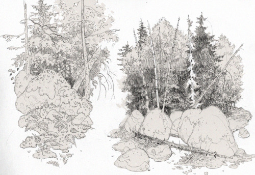 guldentusks:  Sooooo many trees right now