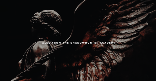 cassandraclare: shadowhunternet: The Shadowhunter Chronicles Books &amp; Series by Cassandra Cla