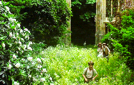 soundsofmyuniverse:The secret garden is always open now. Open, and awake, and alive. If you look the