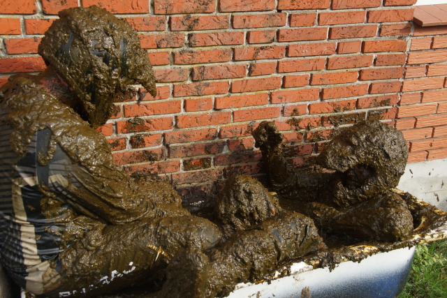 cowfarmer: taking a bath with a mate