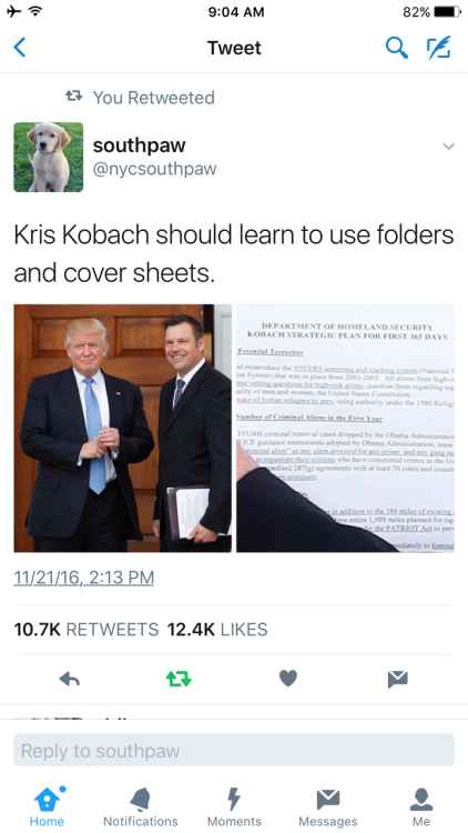 confessionsofamiddlechild: bicolored: abbiehollowdays: (Tweet from @nycsouthpaw) Kris Kobach should 