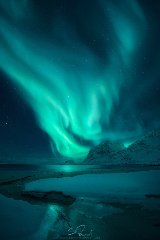 drxgonfly:  The gift (by Simon Roppel)