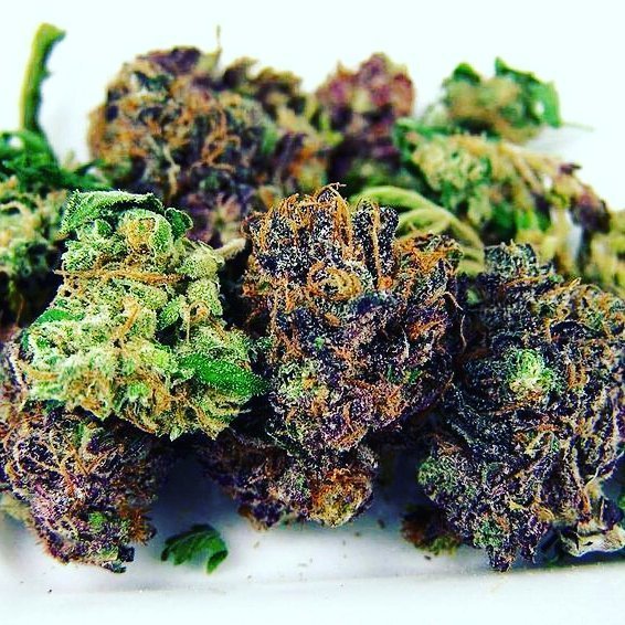 nature420world:  #420 #blunts #joints #life #stoner #dabstagram #weedporn #weekend