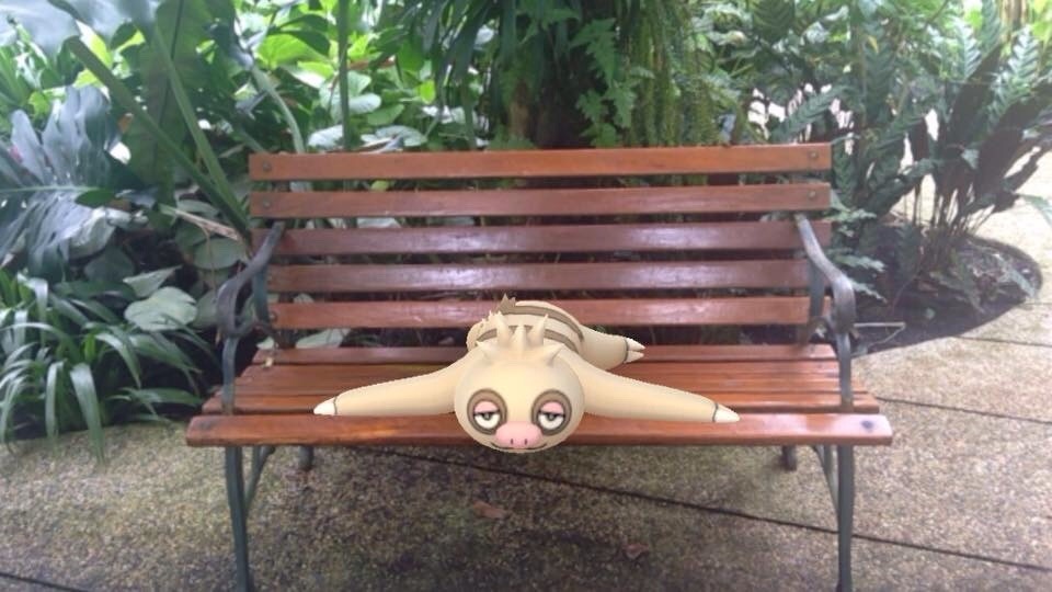 pocketconsthargic:Sleepy boi