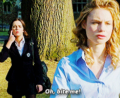 DAILY VAMPIRE ACADEMY