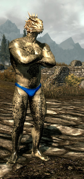 Porn Pics The various argonian males of Skyrim, all