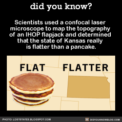 did-you-kno:  An IHOP pancake isn’t all that flat.  “There are bubbles and ridges, and it usually bulges in the middle. I’m not arguing it’s a mountain, but it’s not a piece of paper either.”   Source