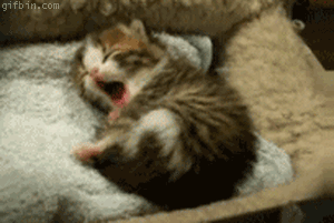 going to sleep! byebyee c: 