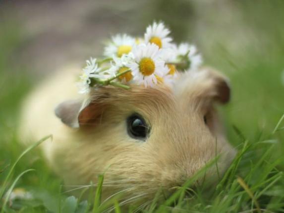 Flower child