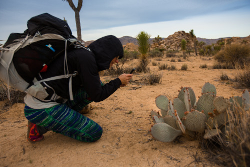 Joshua Tree National ParkWe backpacked during sunset and found a lovely spot to set-up camp. The fol