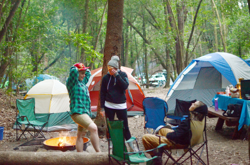 queeringfeministreality:liikewise:Queer glamping at its DAMN FINEST.@veganweedsoup @vegan-queerGood 