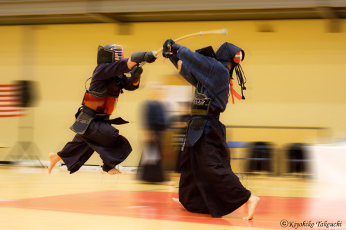 武道 - budo - martial arts 