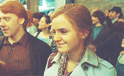 morsmordre-x:  harry potter meme: nine characters [6/9] » Hermione Granger ↳