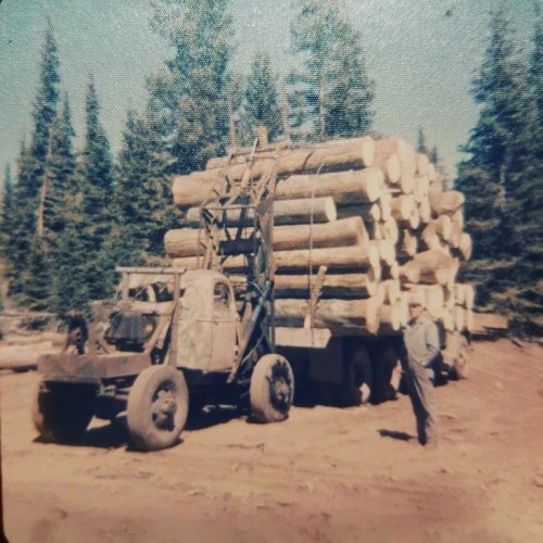 Rad Logging Throwback www.CDLhunter.com #throwback #workingtruck #logtruck #logger #logtrailer #log 