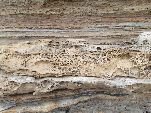 drrockclub: Layered sedimentary rocks, maintaining flat orientation since time of deposition approxi