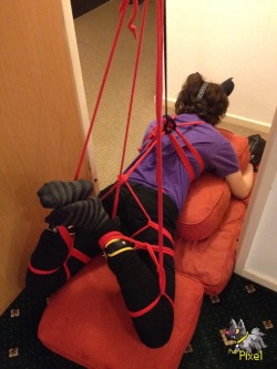 puppixel:  Essential suspension prep: humping a cushion. 