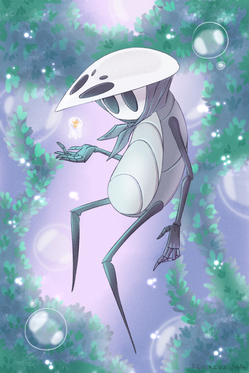 hollow knight quirrel