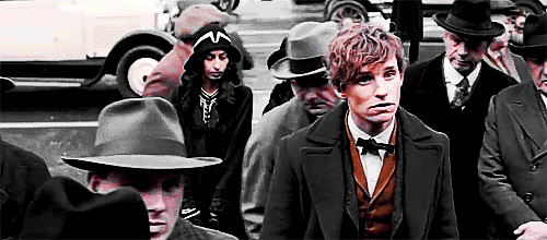 Newt/Tina + Random Scenes: { 3/? }
