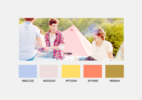 sheerauhl-blog:  color palettes; one direction music videos (insp) 