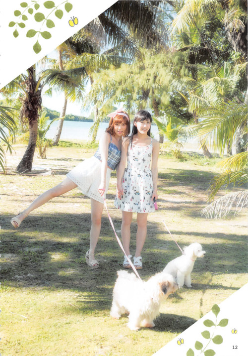 voz48:  「AKB48 no Inu Kyoudai」Shimazaki Haruka　x　Watanabe Mayu  