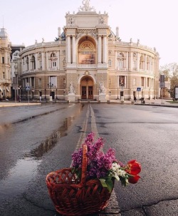 Blueskygoldenground:  Odessa, Ukraine