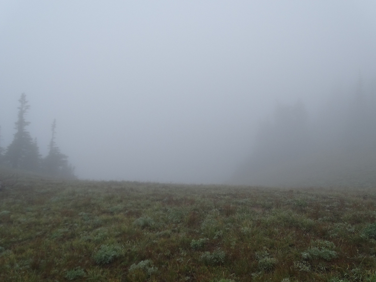 90377:    Foggy Summerland. by bikejr   