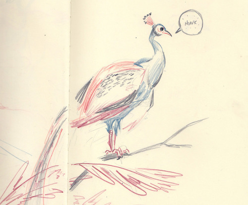 new orleans sketchbook bits; steal yourself for oddles of zoodles y’all