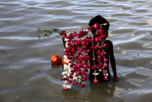 fotojournalismus:A boy waits to sell rose petals to Hindu pilgrims in Allahabad, India on August 4, 