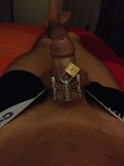 Chastity Blog